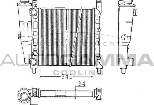 Autogamma 100312 - Radiator, mühərrikin soyudulması furqanavto.az