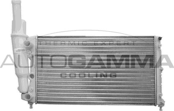 Autogamma 100294 - Radiator, mühərrikin soyudulması furqanavto.az