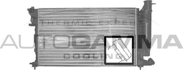 Autogamma 100212 - Radiator, mühərrikin soyudulması furqanavto.az