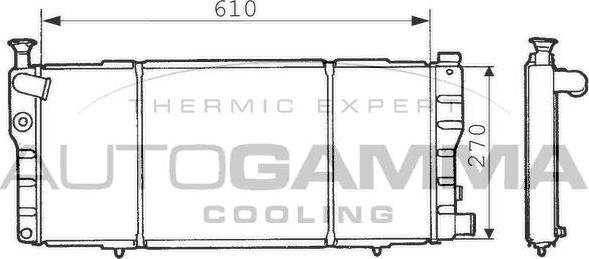 Autogamma 100743 - Radiator, mühərrikin soyudulması furqanavto.az