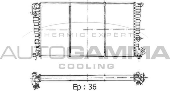 Autogamma 100757 - Radiator, mühərrikin soyudulması furqanavto.az