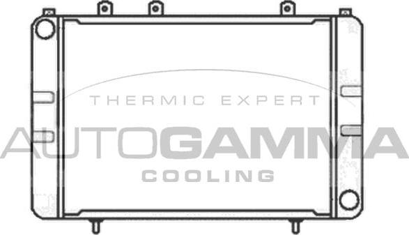 Autogamma 100712 - Radiator, mühərrikin soyudulması furqanavto.az