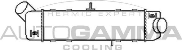 Autogamma 101957 - Intercooler, şarj cihazı furqanavto.az