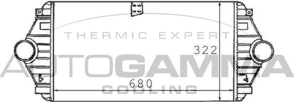 Autogamma 101491 - Intercooler, şarj cihazı furqanavto.az