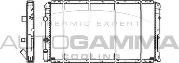 Autogamma 101461 - Radiator, mühərrikin soyudulması furqanavto.az