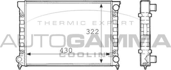 Autogamma 101069 - Radiator, mühərrikin soyudulması furqanavto.az