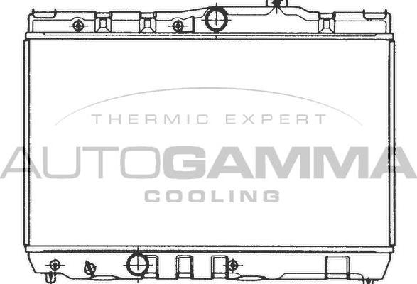 Autogamma 101002 - Radiator, mühərrikin soyudulması furqanavto.az