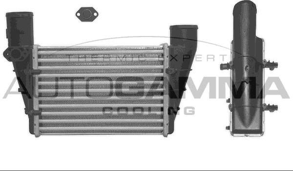 Autogamma 101858 - Intercooler, şarj cihazı furqanavto.az