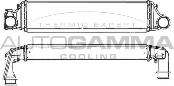 Autogamma 101882 - Intercooler, şarj cihazı furqanavto.az