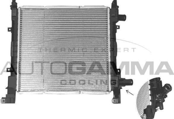 Autogamma 101332 - Radiator, mühərrikin soyudulması furqanavto.az