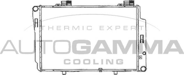 Autogamma 101321 - Radiator, mühərrikin soyudulması furqanavto.az