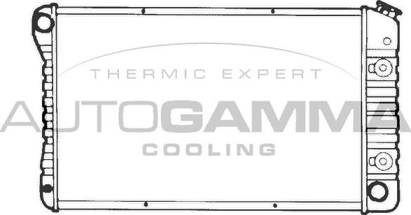 Autogamma 101370 - Radiator, mühərrikin soyudulması furqanavto.az