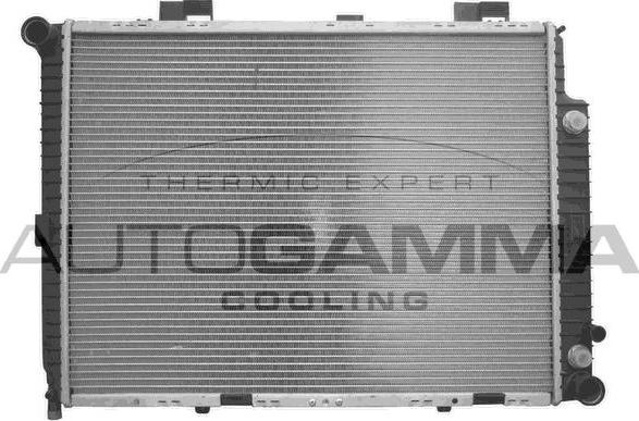 Autogamma 101378 - Radiator, mühərrikin soyudulması furqanavto.az