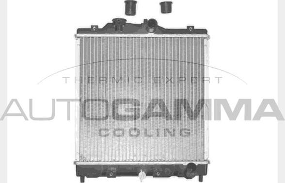 Autogamma 101372 - Radiator, mühərrikin soyudulması furqanavto.az