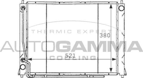 Autogamma 101256 - Radiator, mühərrikin soyudulması furqanavto.az