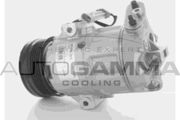 Autogamma 108010 - Kompressor, kondisioner furqanavto.az