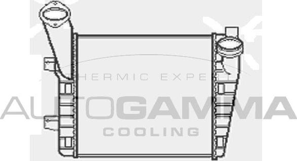 Autogamma 103948 - Intercooler, şarj cihazı furqanavto.az