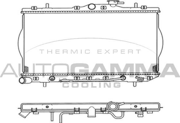 Autogamma 103938 - Radiator, mühərrikin soyudulması furqanavto.az