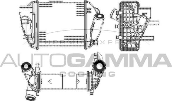 Autogamma 103598 - Intercooler, şarj cihazı furqanavto.az