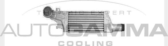 Autogamma 103623 - Intercooler, şarj cihazı furqanavto.az