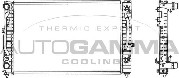 Autogamma 103067 - Radiator, mühərrikin soyudulması furqanavto.az