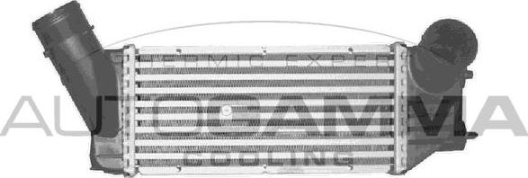 Autogamma 103003 - Intercooler, şarj cihazı furqanavto.az