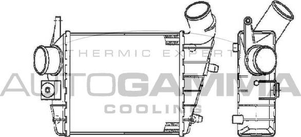 Autogamma 103011 - Intercooler, şarj cihazı furqanavto.az