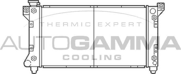 Autogamma 103135 - Radiator, mühərrikin soyudulması furqanavto.az