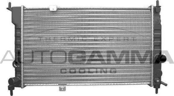 Autogamma 103176 - Radiator, mühərrikin soyudulması furqanavto.az