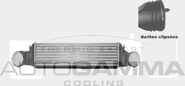 Autogamma 103823 - Intercooler, şarj cihazı furqanavto.az