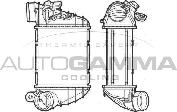 Autogamma 103876 - Intercooler, şarj cihazı furqanavto.az