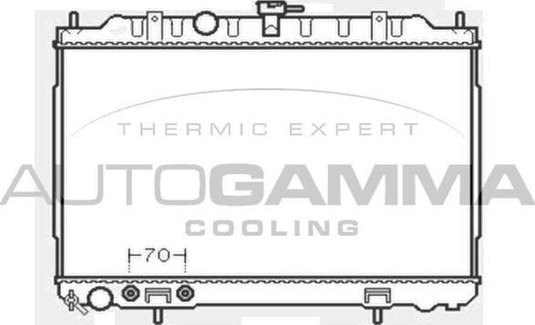 Autogamma 103348 - Radiator, mühərrikin soyudulması furqanavto.az