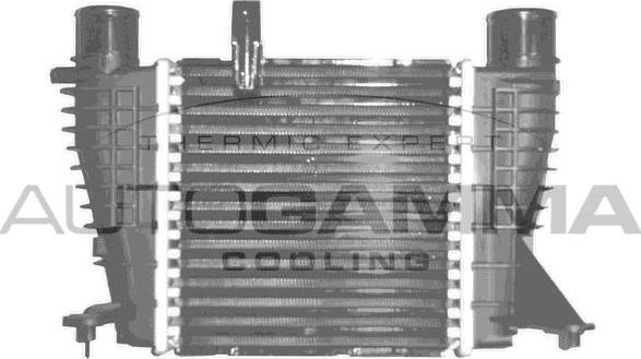 Autogamma 103381 - Intercooler, şarj cihazı furqanavto.az