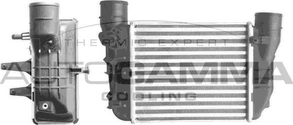 Autogamma 103246 - Intercooler, şarj cihazı furqanavto.az