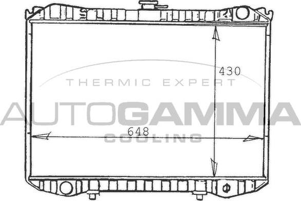 Autogamma 103257 - Radiator, mühərrikin soyudulması furqanavto.az