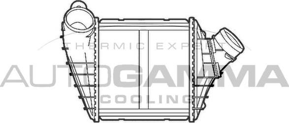 Autogamma 103213 - Intercooler, şarj cihazı furqanavto.az