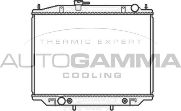 Autogamma 102932 - Radiator, mühərrikin soyudulması furqanavto.az