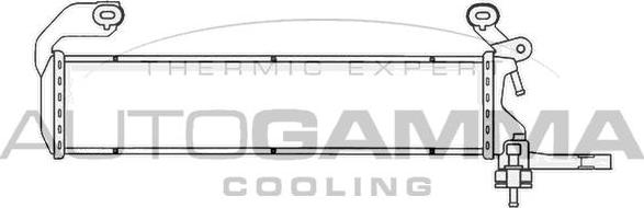 Autogamma 102924 - Radiator, mühərrikin soyudulması furqanavto.az