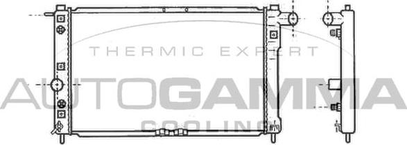 Autogamma 102589 - Radiator, mühərrikin soyudulması furqanavto.az