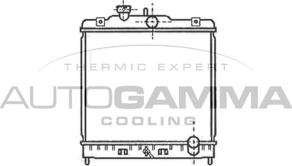 Autogamma 102105 - Radiator, mühərrikin soyudulması furqanavto.az