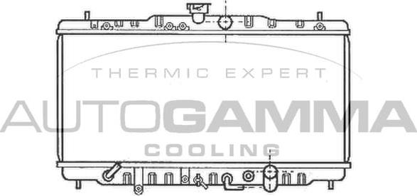 Autogamma 102119 - Radiator, mühərrikin soyudulması furqanavto.az