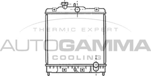 Autogamma 102111 - Radiator, mühərrikin soyudulması furqanavto.az