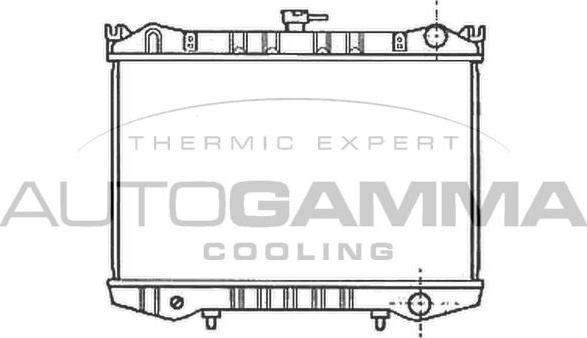 Autogamma 102186 - Radiator, mühərrikin soyudulması furqanavto.az