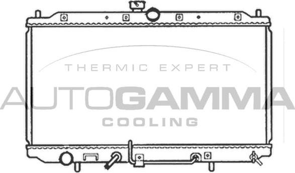 Autogamma 102170 - Radiator, mühərrikin soyudulması furqanavto.az