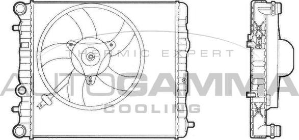 Autogamma 102871 - Radiator, mühərrikin soyudulması furqanavto.az