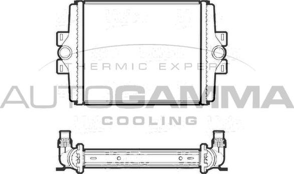 Autogamma 107406 - Radiator, mühərrikin soyudulması furqanavto.az