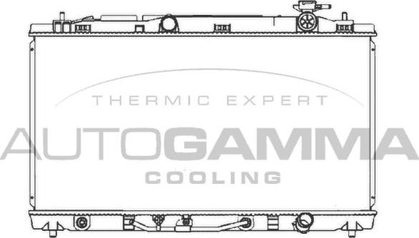 Autogamma 107062 - Radiator, mühərrikin soyudulması furqanavto.az