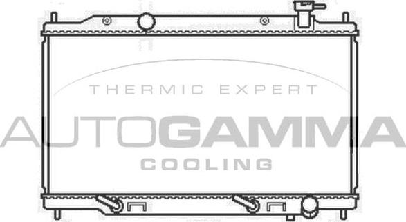 Autogamma 107017 - Radiator, mühərrikin soyudulması furqanavto.az