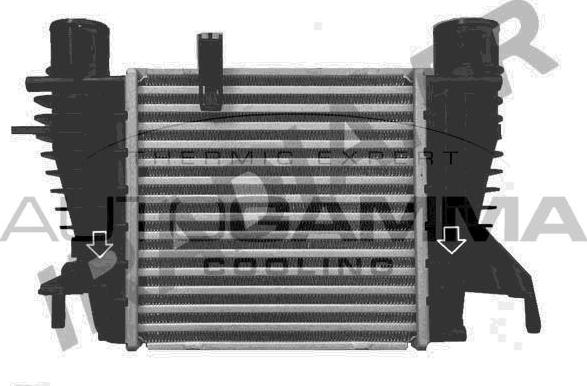 Autogamma 107257 - Intercooler, şarj cihazı furqanavto.az