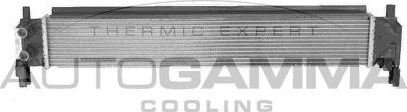 Autogamma 107718 - Radiator, mühərrikin soyudulması furqanavto.az